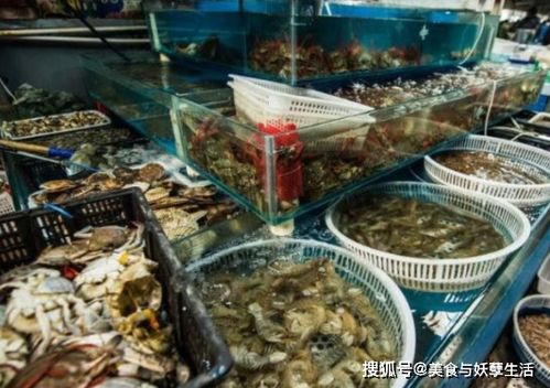 龍蝦情深 中非情誼跨越海陸的暖心買(mǎi)賣(mài)